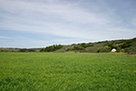 Outer Areas of Site