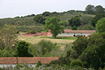 Site