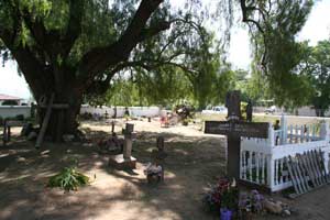 Crosses