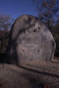 Plaque