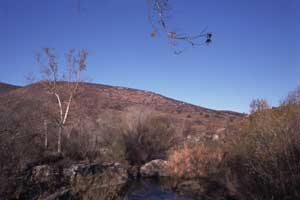 Mission Dam