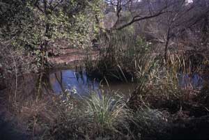 San Diego River