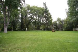 Lawn.