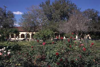 Memory Garden