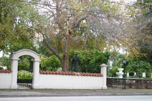 Memory Garden