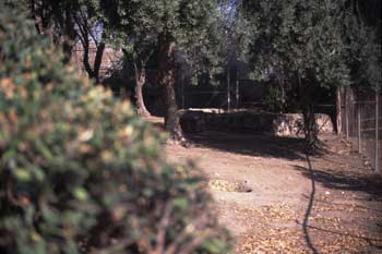Mission Well