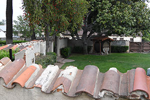 Grapevine Park