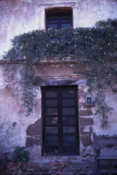 Door