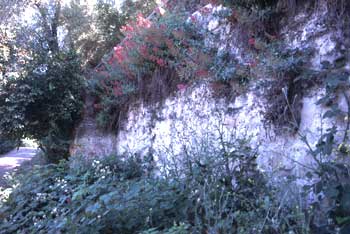 Retaining Wall