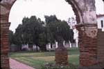Garden & Pepper Tree