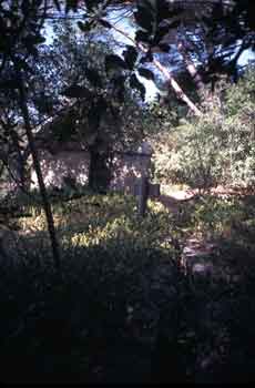 Filter and Aqueduct