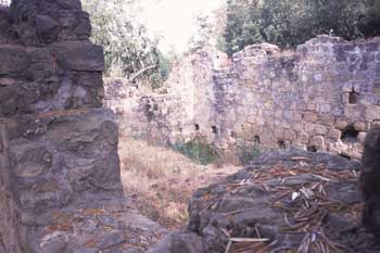 Grist Mill