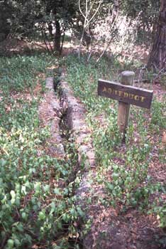 Aqueduct