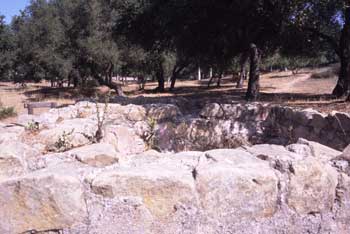 Tannery