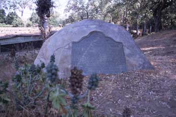 Plaque