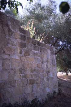 Pottery Shed