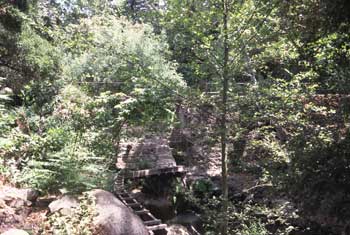 Sluice