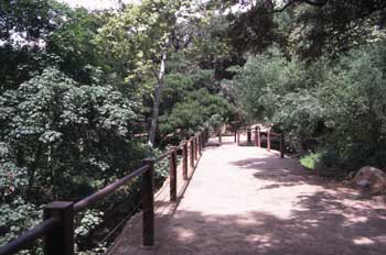 Dam