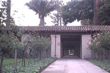 Opening