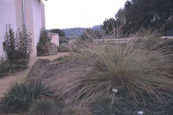 Cemetery