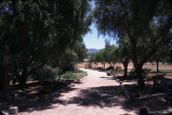 Santa Ines