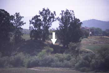 Mill from Mission