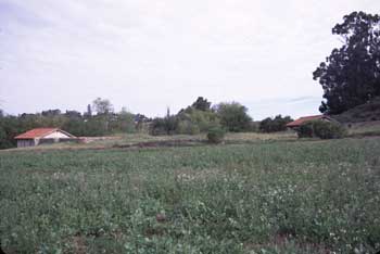 South Side of Site