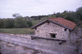 Basin