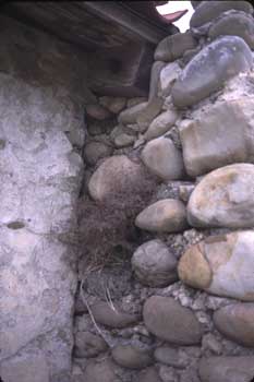 West Mill