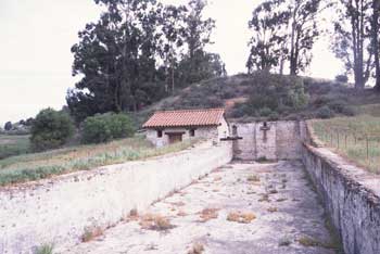 Basin