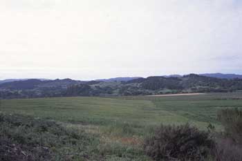 Field