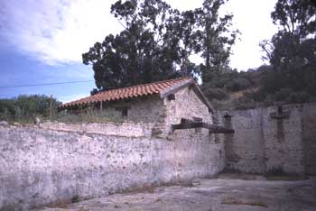 Basin