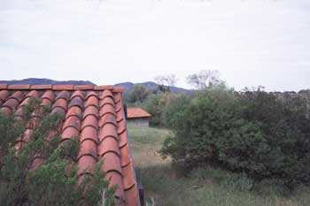 Looking West
