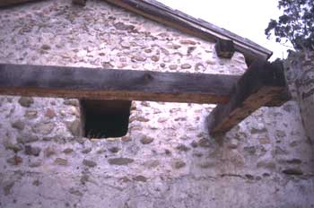 Basin