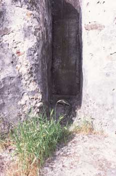 Basin