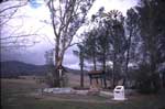 Original Site